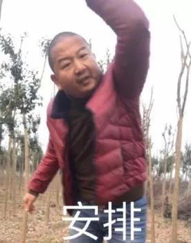 giao哥专属表情包合集来啦