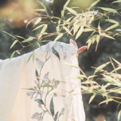 14张高清古风女部位头像 手控党速看的唯美意境图