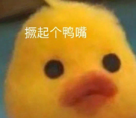 聊天斗图常备！小黄鸭表情包合集来啦