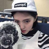 12张治愈感拉满！女生抱小猫的头像合集来了