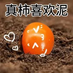 这套熊猫头套路表情包，用谐音梗拿捏住了