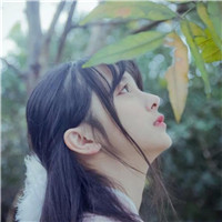 文艺森系清新女生头像合集 18张氛围感拉满的女生头像来了