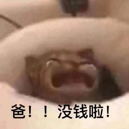 爸宝大嘴猫表情包来了 聊天斗图用得上