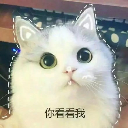 软萌猫咪表情包合集 聊天斗图都能用