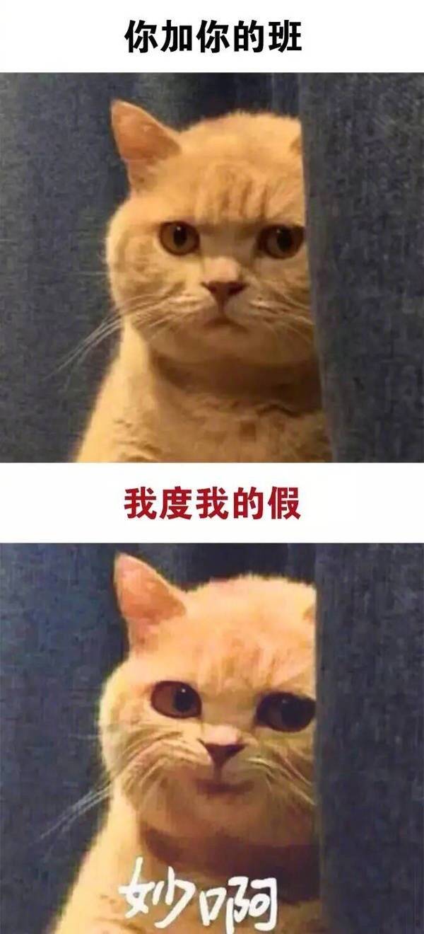 这套“妙啊”怼人表情包，打工人斗图直接用