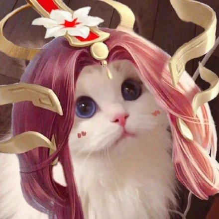王者荣耀玩家专属！这套猫头头像太适配游戏社交了