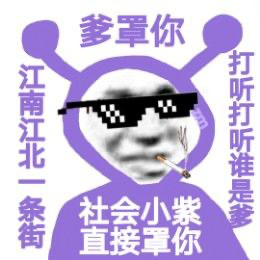 社会小紫又来整活了！这套表情包出自创作者猪曼