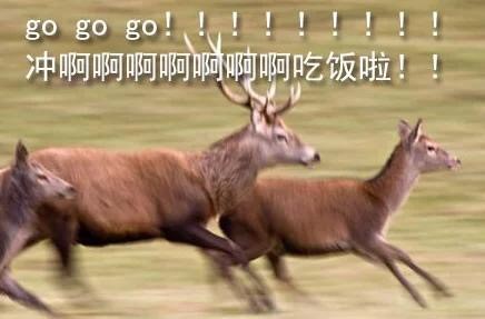 开饭啦！快喊上搭子一起冲去干饭的表情包来啦