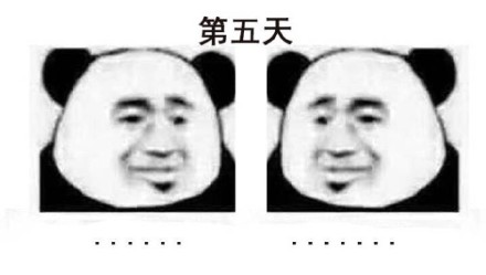 我和搭子的健身日常表情包来啦