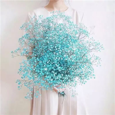 女生手捧满天星的高清唯美头像合集 12张氛围感拉满