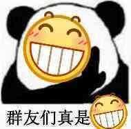 聊天斗图必备！熊猫头高糊小表情合集