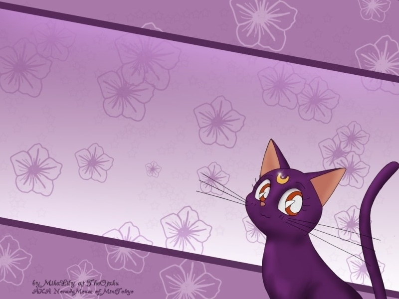 美少女战士高清壁纸合集 露娜猫咪与花海