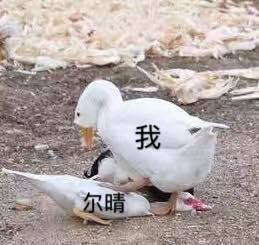 《延禧攻略》尔晴惹众怒！这套表情包火了