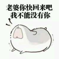 道歉向表情包合集：老婆原谅我吧，都是我的错