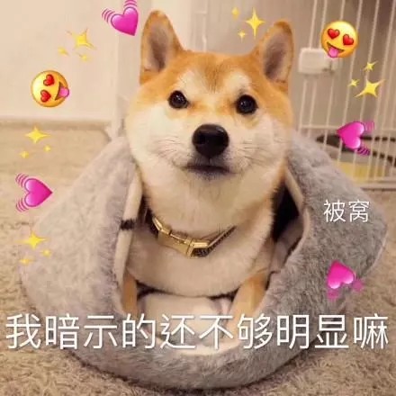 全网超全柴犬表情包合集来啦
