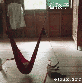 养猫的N种用处表情包合集