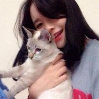 12张治愈感拉满！女生抱小猫的头像合集来了