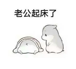 老婆撩老公专属表情包来啦