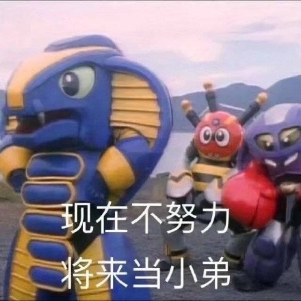 12月23日热门斗图表情包合集
