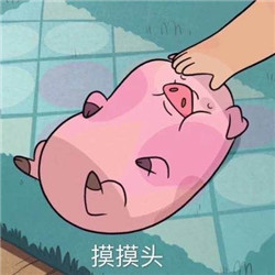 刷到这套猪猪表情包，谁看了不说一句可爱