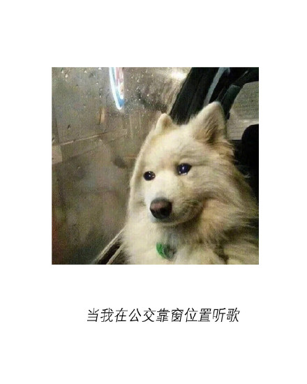 朋友圈有人分享音乐的瞬间，是不是瞬间戳中你了
