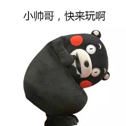 熊本熊土味表白表情包火了！“你会像保护你的小鸡鸡一样保护我吗？”这句话直接戳中聊天梗点