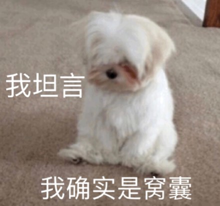 聊天斗图必备！这套可爱萌宠表情包太好用了