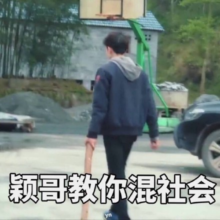 《变形记陈新颖表情包合集 斗图必备》