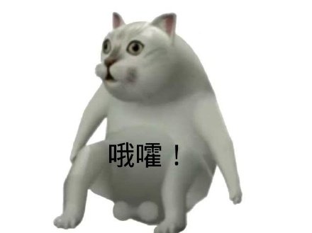 Mur猫憨憨猫表情包合集来啦