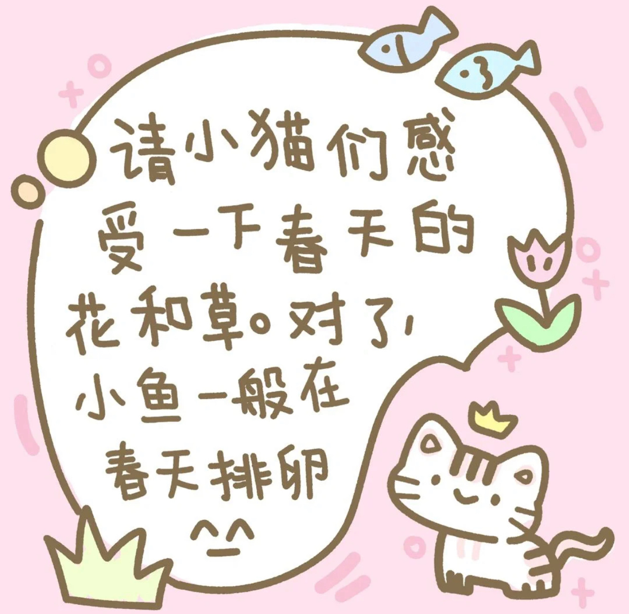 小猫文学表情包来啦 软乎乎治愈感拉满