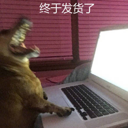 等快递的真实状态被这套表情包拿捏了