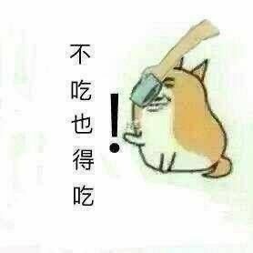 单身狗专属！这套吃狗粮表情包太扎心了