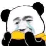 整理了一波超好用的沙雕熊猫头表情包