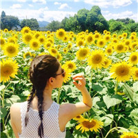 森系向日葵女生头像合集！23张唯美氛围感头像直接存