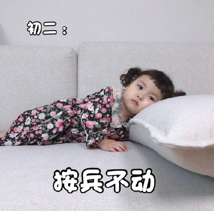 萌娃罗熙宅家一动不动表情包火了