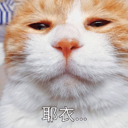 emo感拉满！这套丧系猫咪表情包太戳人了