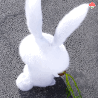 《爱宠大机密》兔子表情包合集来啦