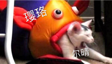 《延禧攻略》尔晴惹众怒！这套表情包火了