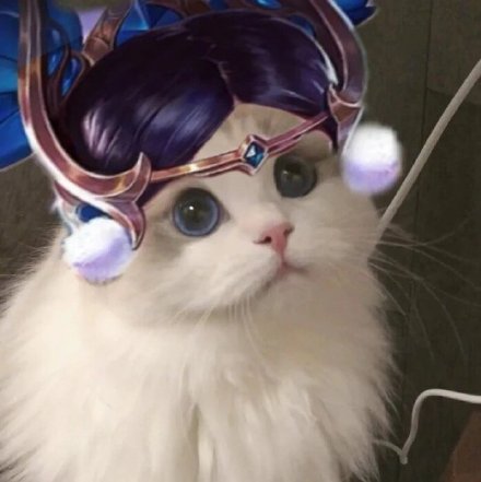 王者荣耀玩家专属！这套猫头头像太适配游戏社交了