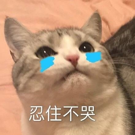 8月3日斗图表情包合集来了