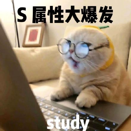 斗图神器！S属性大爆发表情包合集来啦