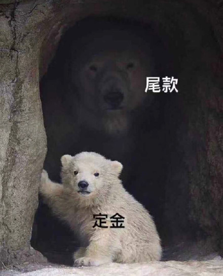 双十一尾款人专属表情包来啦，一起加油扛过尾款期！