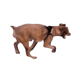 聊天斗图必备！超全小动物GIF动图表情包合集