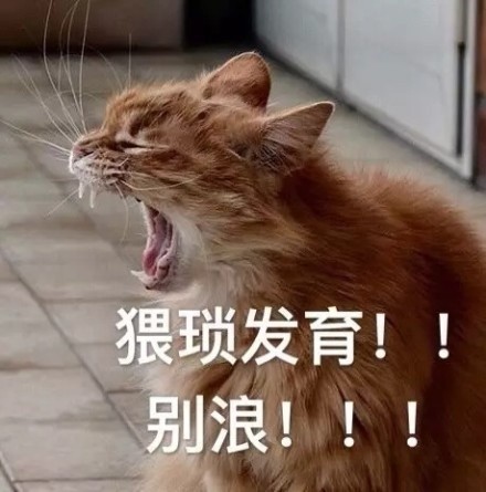 开语音打《王者荣耀》时，队友那些戳中笑点的呐喊
