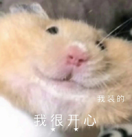 仓鼠表情包合集来啦，斗图用它准没错