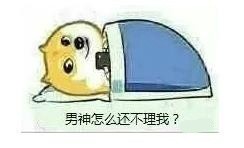 速看！明天周一，现在赶紧睡觉！doge版提醒表情包来了