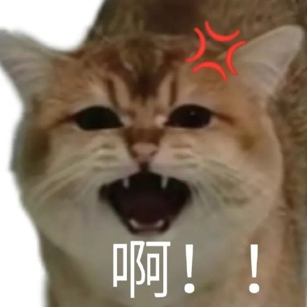 聊天斗图必备！这套带“啊”字的猫咪表情包太好用了