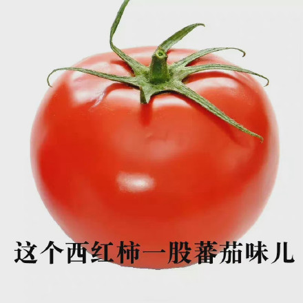 聊天斗图新神器！废话文学表情包合集来了