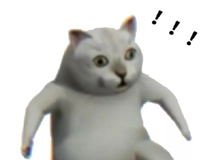 憨态拉满！Mur猫表情包合集来啦