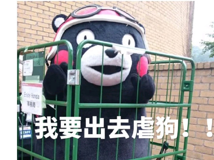 熊本熊版“人丑多看书”表情包来啦